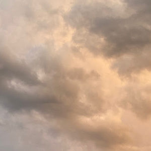 Meet your Posher, Caoimhe